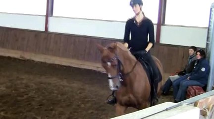 Stage de dressage avec Pierre Beaupère - 27 septembre 2014 - Jour 1 partie 6