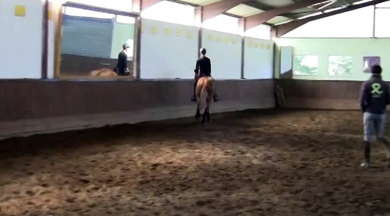 Stage de dressage avec Pierre Beaupère - 27 septembre 2014 - Jour 1 partie 10