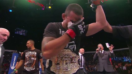 UFC 180- Fabricio Werdum Highlights