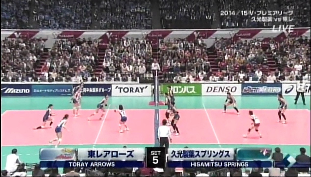 11月15日ブラマヨ小杉の盆栽3