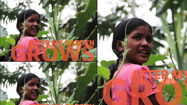 Aamir Khan hosts screening of 'After My Garden Grows'