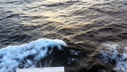 bateaux TARIQ IBN ZIYAD alger marseille 15 09 2014