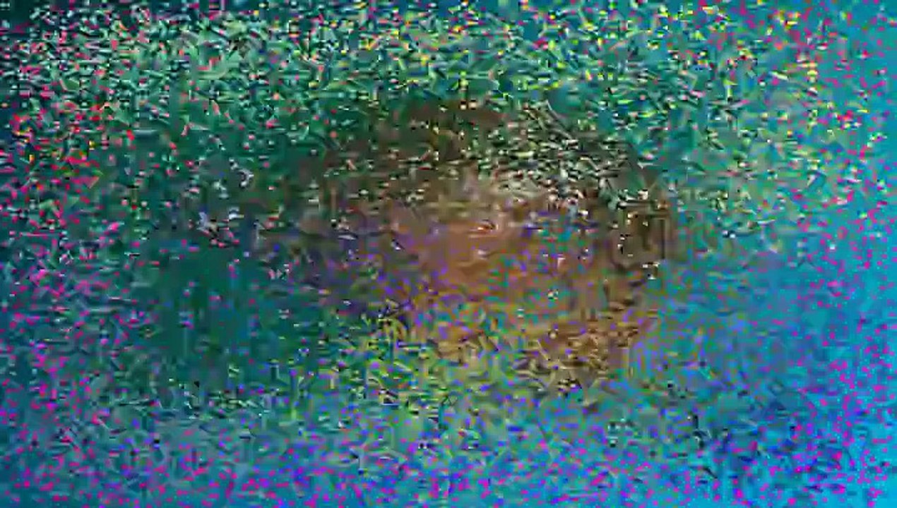 1°)-PARTIE MIX - 70' - DISCO