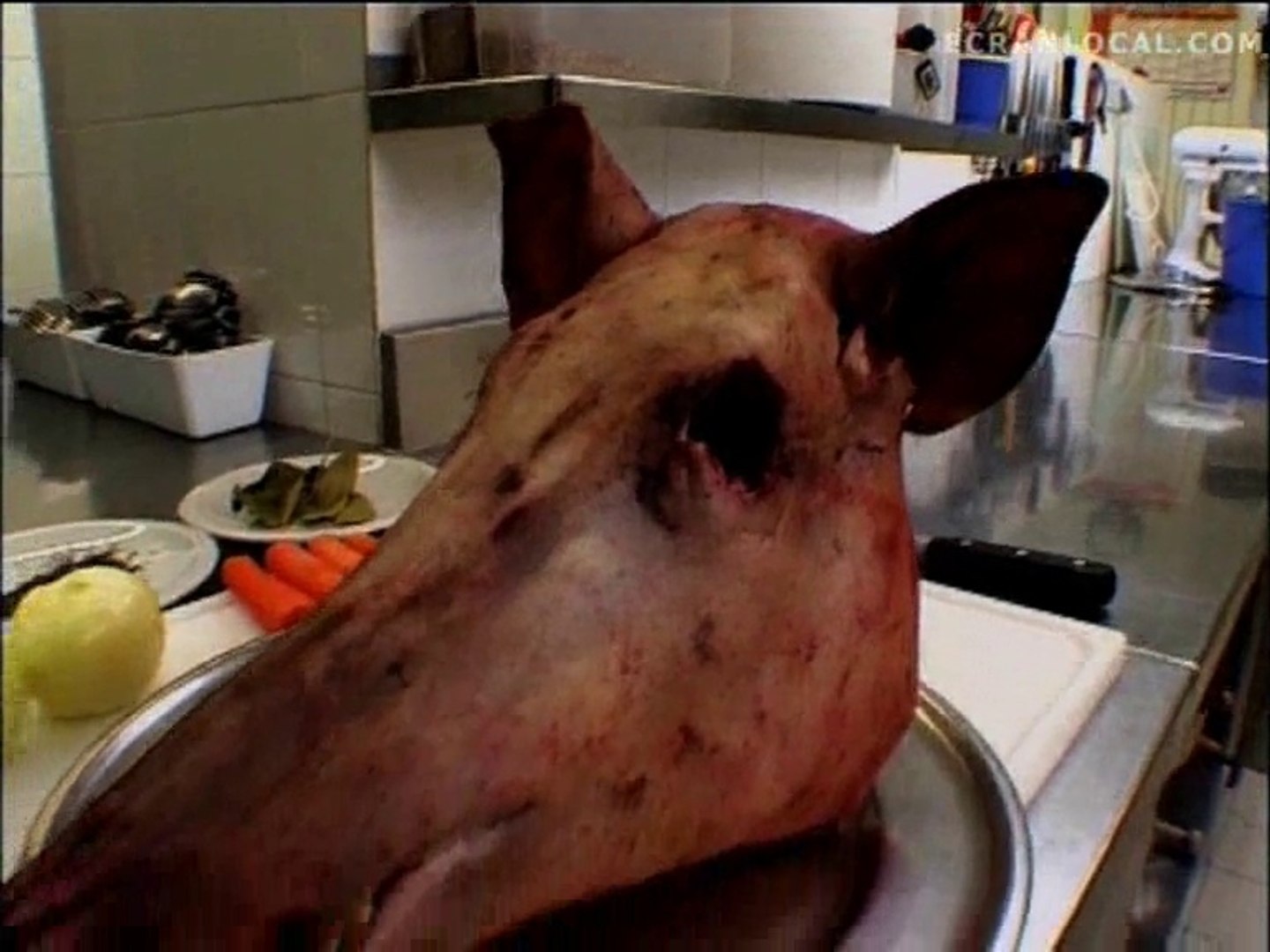 Cuisine Tete De Sanglier Vinaigrette Video Dailymotion