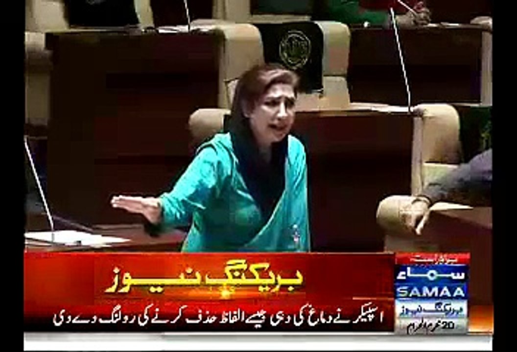 Fight Between MQM And PPP Members In Parliament