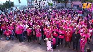 161114 caminada contra el cancer a palleja