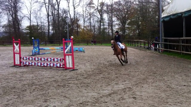 CSO Les Poneys d'Or du 09/11/2014