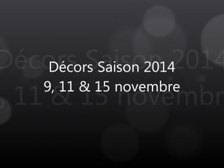 AEP Châteaurenaud - Décors 2014