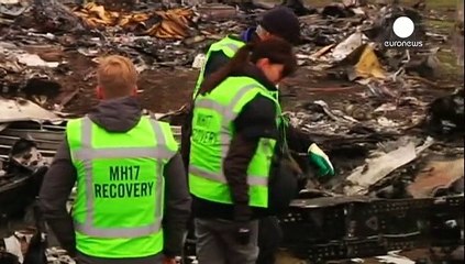 Todesflug MH17: Bergung von Wrackteilen in der Ostukraine wiederaufgenommen