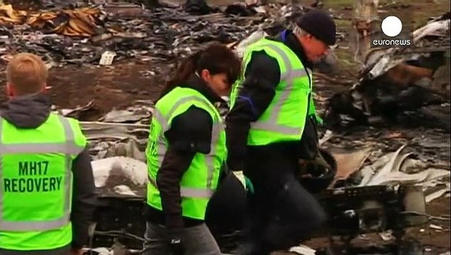 Специалисты начали сбор обломков малайзийского Боинга