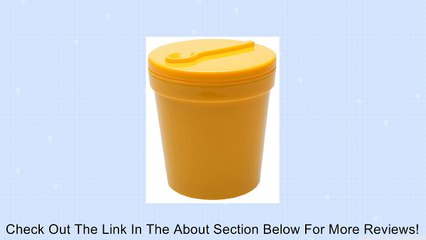 Zak Designs Ice Cream Tub, Pint Size Review