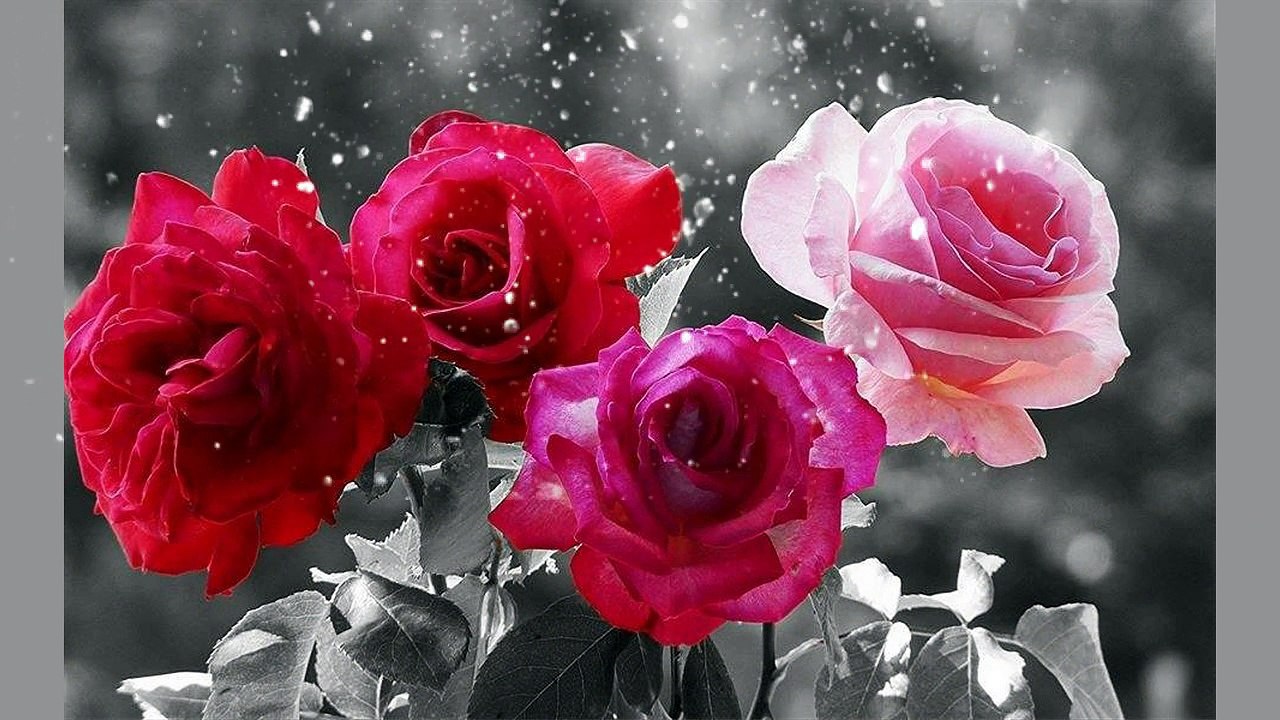 geceler katran karası geceler