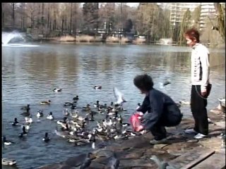 今日のイタズラ　とりあえず落とすシリーズ