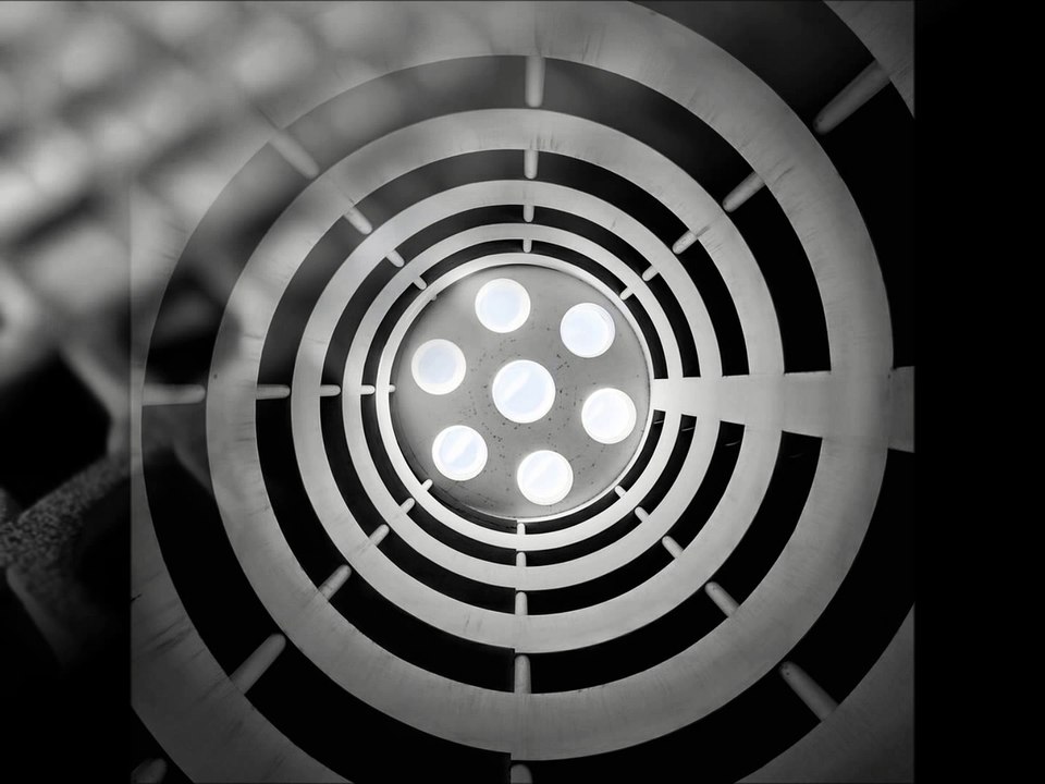 A THOUSAND SOCIETIES  STOP ANIMAL TESTING