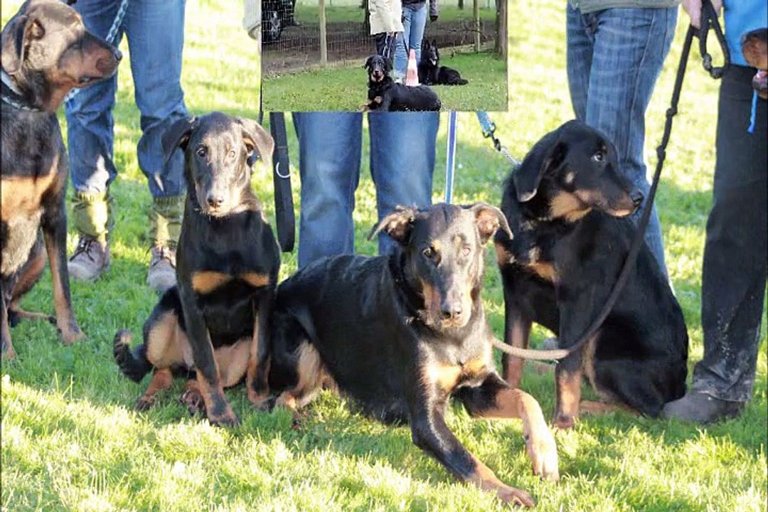 I'héos Des Gardiens de la Nacre