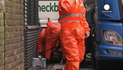 نمونه خطرناکی از آنفلوآنزای مرغی در هلند دیده شد