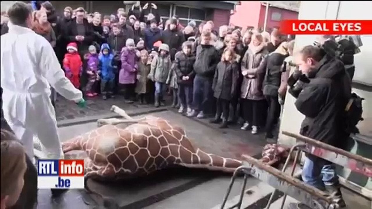 Vidéo Choc âme Sensible S Abstenir
