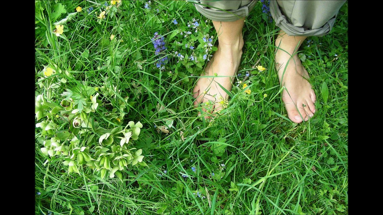 CHAUSSURES DE SECURITE CE 2056 S1P GAMME PIED SENSIBLE. www.cbhs.fr