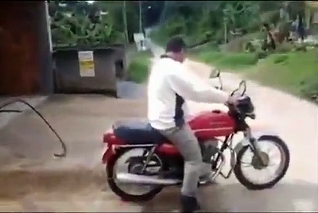 Automation in action