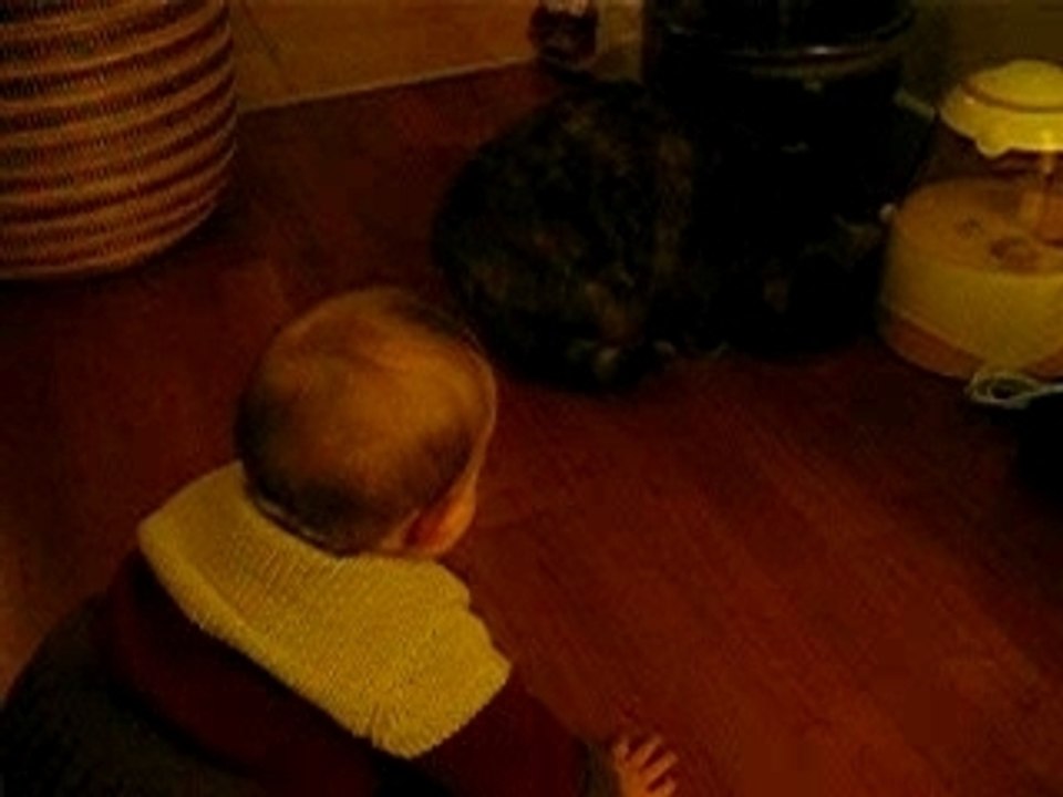 Arthur et Krampouz (7 mois)