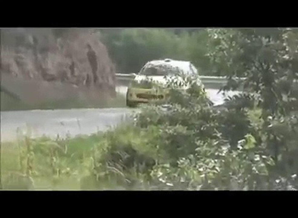 Rabbit chasing a rally car
