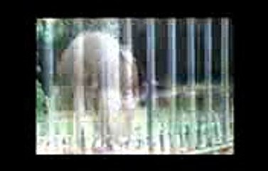 koi_jab_tumhara_hi_66440