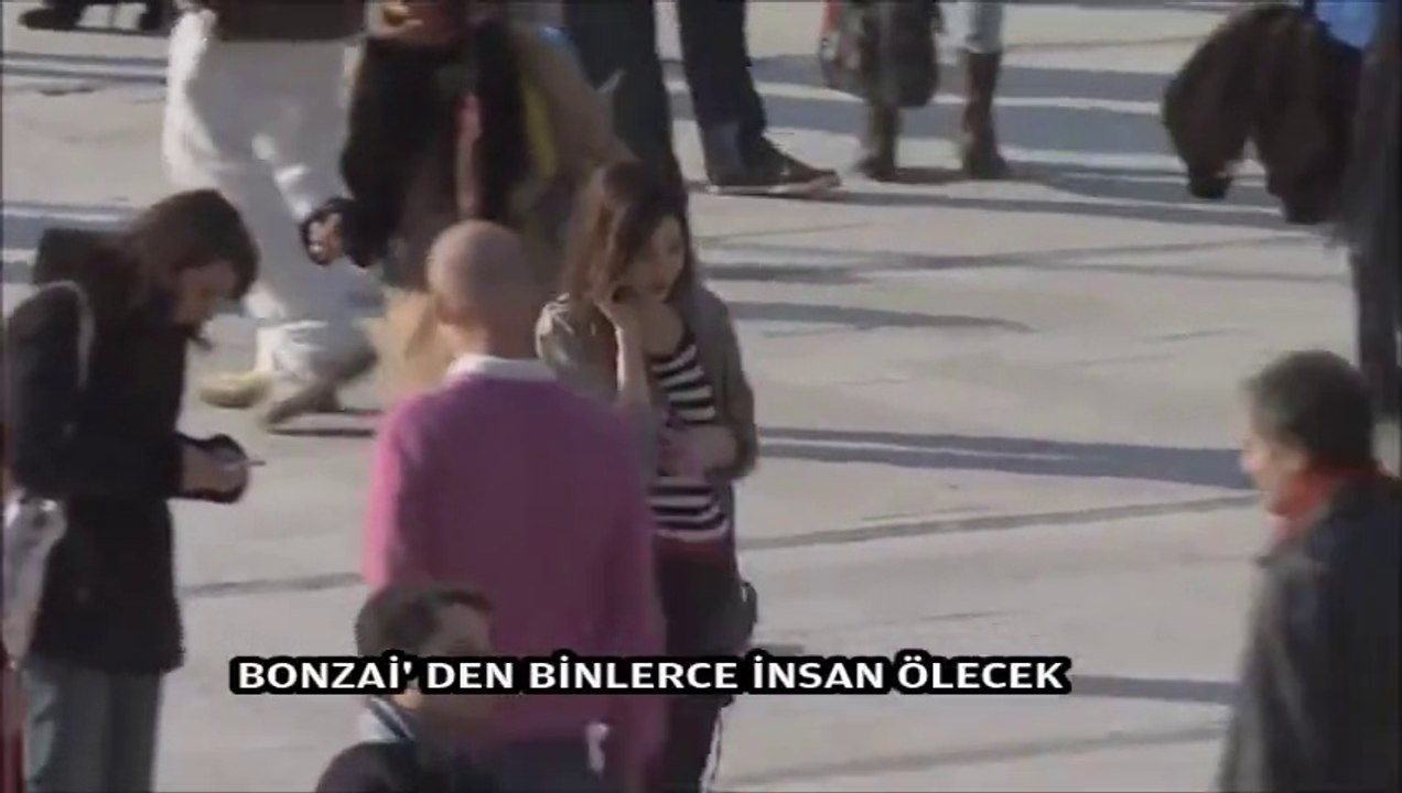 Bonzai'ye karşı Harika bir reklam
