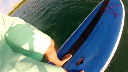 Meet with Dolphins Key Biscayne