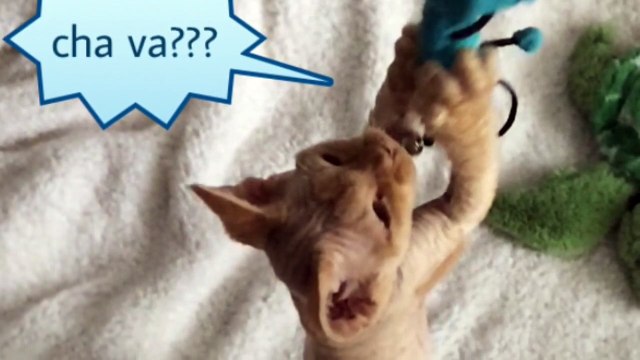 Thumbnail