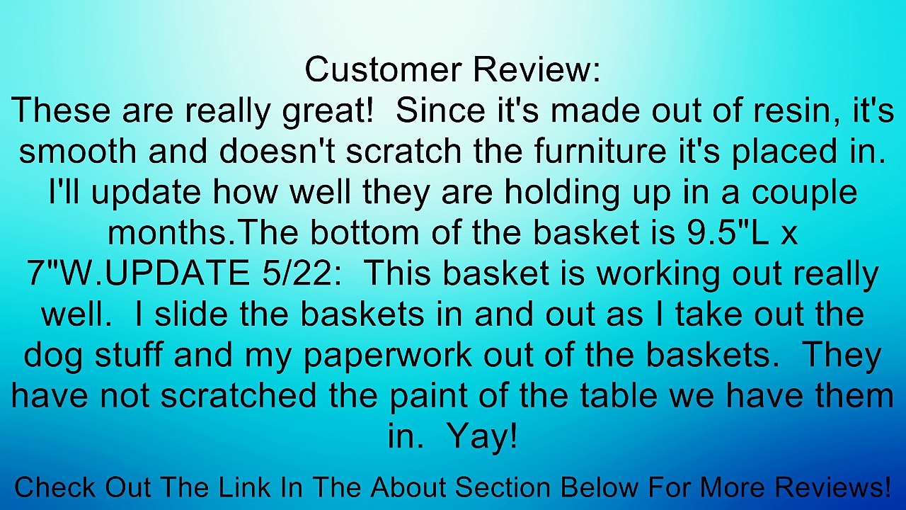 Whitmor 6500-1717 Small Rattique Storage Tote Review