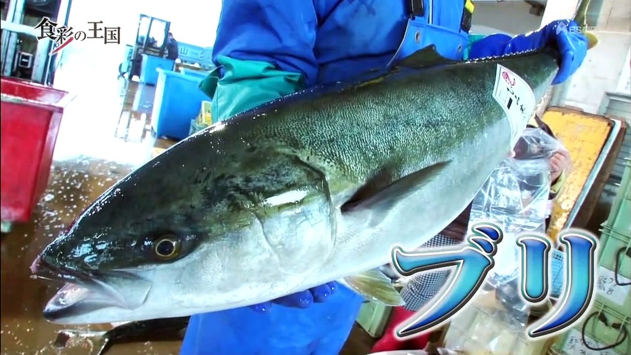 食彩の王国「ブリ」日本海からの贈物_冬魚の王様ブリ_ＢＳ朝日20141116-1