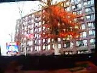 #cle grandfather owns joes home of blues on 260th euclid i walk downtown with no shoes on 11/16/14