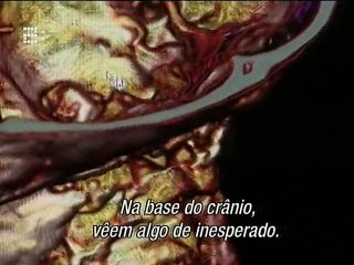 A Maldição de Tutankamon - King Tut´s Curse - RTP2