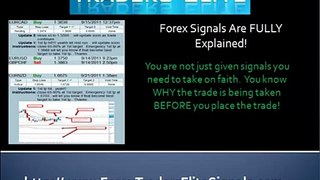 Traders Elite Forex Signals Service That Works