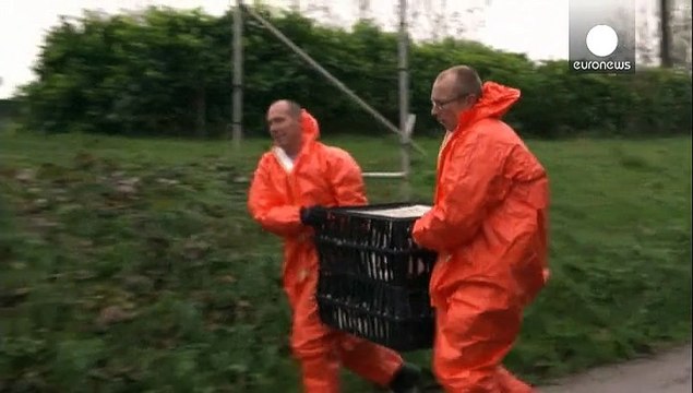 Еврокомиссия готова пойти на экстренные меры, чтобы сдержать вспышку птичьего гриппа