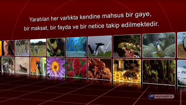 Yaratılış Delilleri - 12- Hikmet Delili