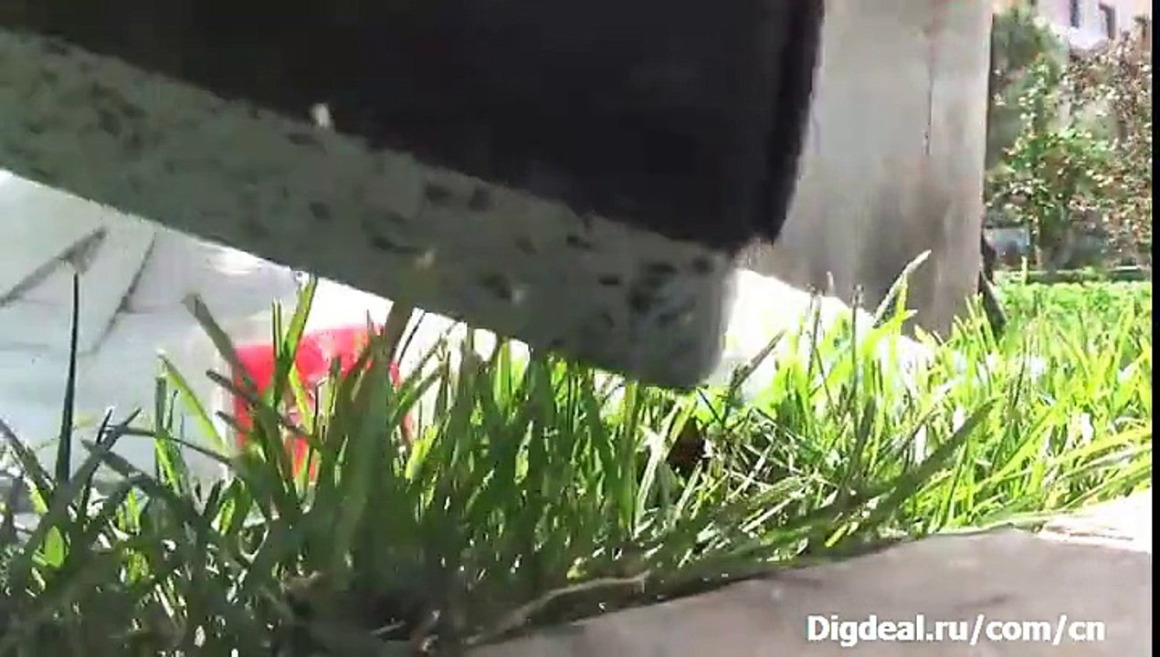 Air Jordan Retro 4 25th Silver Anniversary White and Chrome Discout On Digdeal.ru