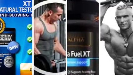 Comparing Significant Criteria In Wait Gain Alpha Fuel XT