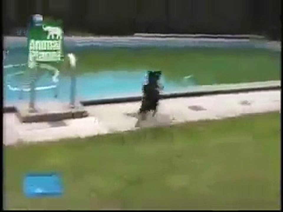 super dog