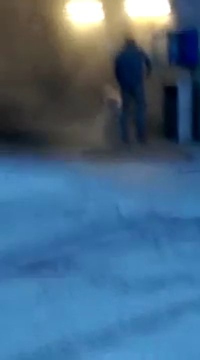 Il passe son chien au Karcher dans une station de lavage auto