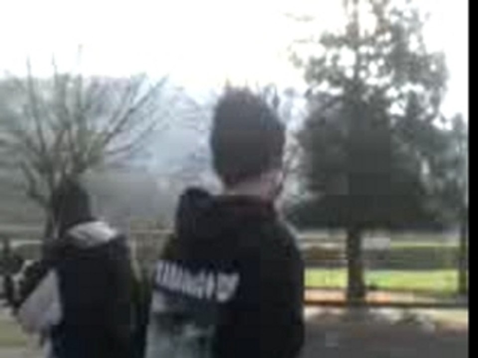 Mdr