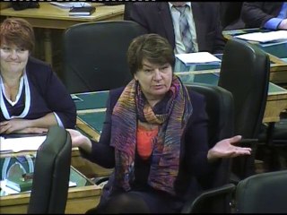 Депутат Спиридонова А.М. от партии "Яблоко" конструктивно раскритиковала путинскую вертикаль власти [10.11.2014]