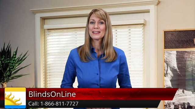 BlindsOnLine.com Terrific 5 Star Review by Lisa G.