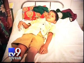 Mumbai: Tests on to check for dengue virus mutation - Tv9 Gujarati