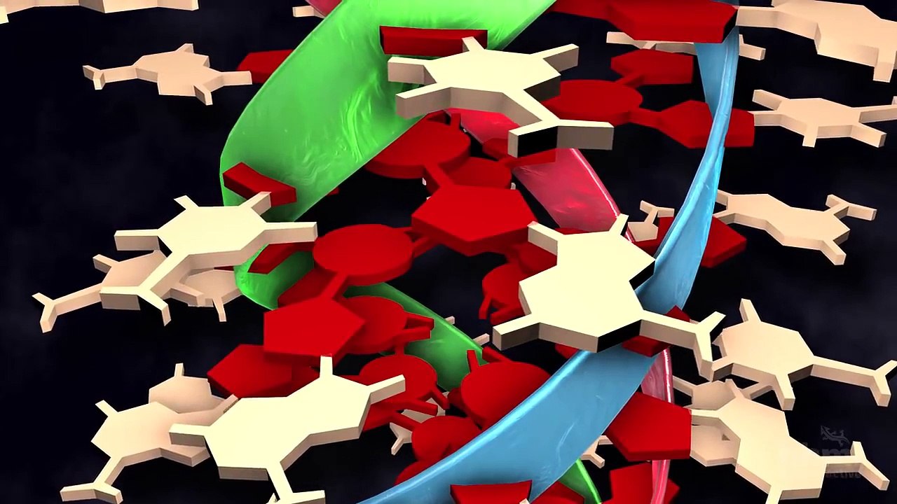 The Double Helix: Watson, Crick, and Franklin discover the structure of DNA