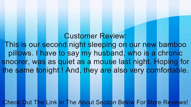 Five Star Bamboo Memory Foam Hypoallergenic Pillow King Size New Review