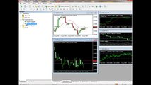 MT4 Automated Trading - MetaTrader 4 EA - Automated Trading - ThinkForex1
