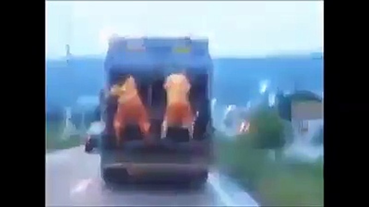 Garbage Men Celebration