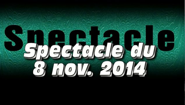 Les Z Enchanteurs en spectacle Le Sud - Photos 3/3