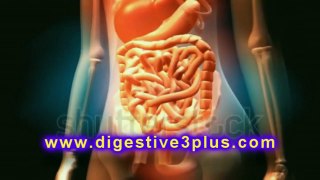 DIGESTIVE+++